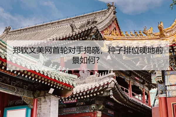 zheng-qin-wen-mei-wang-shou-lun-dui-shou-jie-xiao-zhong-zi-pai-wei-ying-di-qian-jing-ru-he-3-284.jpg